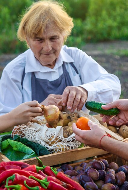 Foto vecchia contadina vende verdure e frutta al mercato dei contadini cibo selettivo