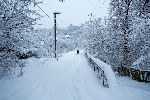 冬の道を歩くおばあさん 雪の季節に歩道を歩くおばあさん