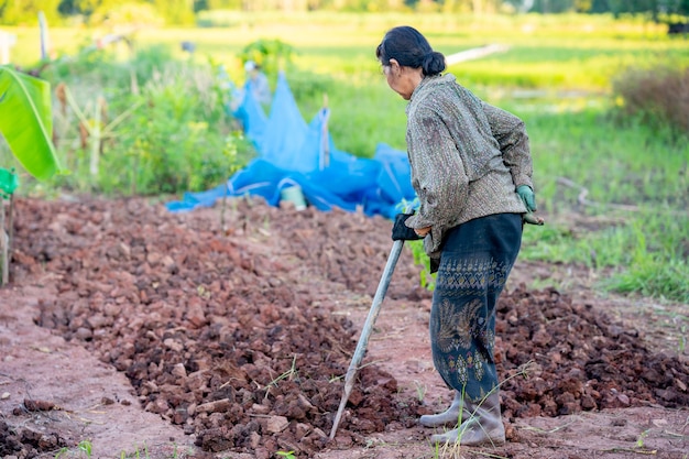 Old women working in garden in rural