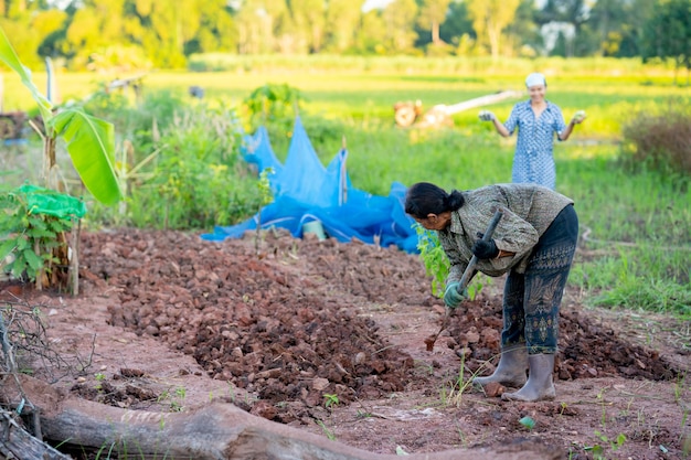 Donne anziane che lavorano in giardino nelle zone rurali