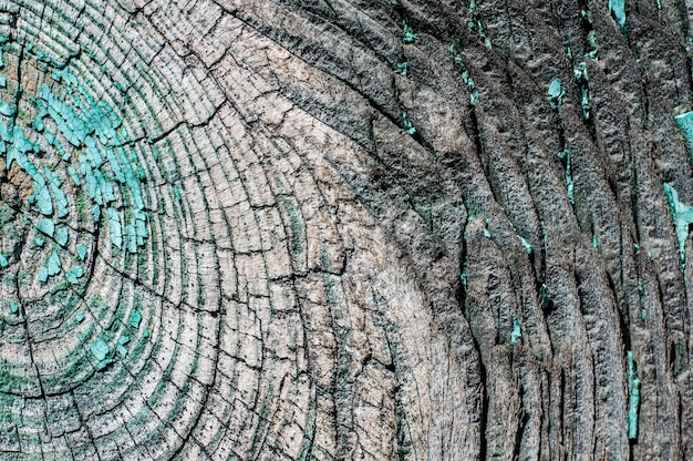 Old wood background texture