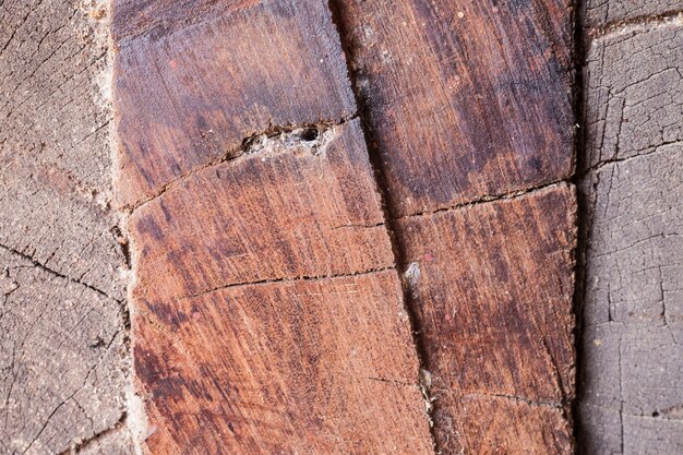 Old wood background texture