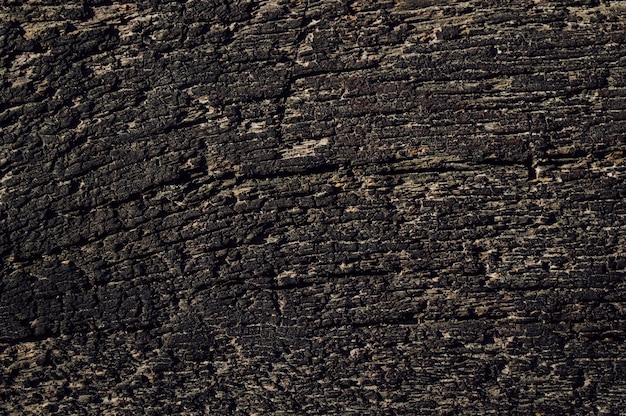 Old wood background with deep texture