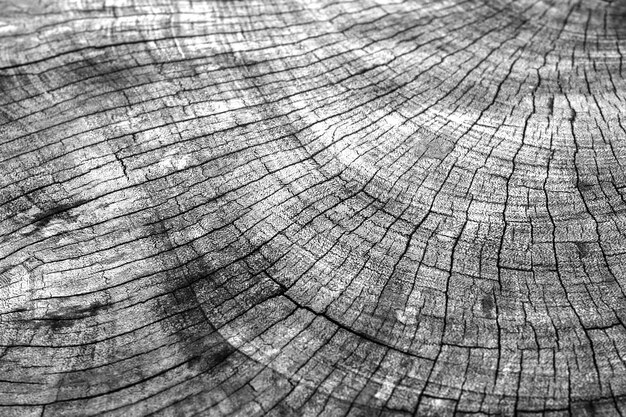 Old wood background