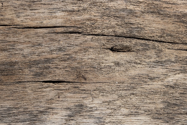 Old wood for background