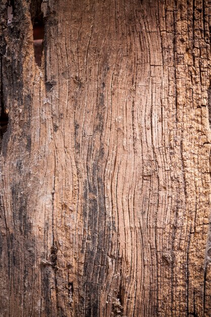 Vecchio fondo di legno.