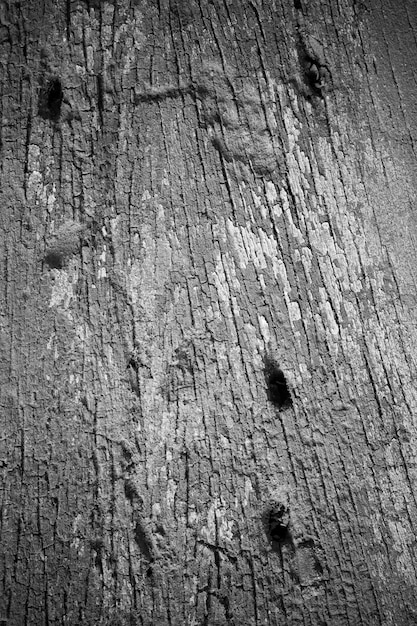 Old wood background.