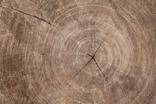 Foto vecchio sfondo di legno