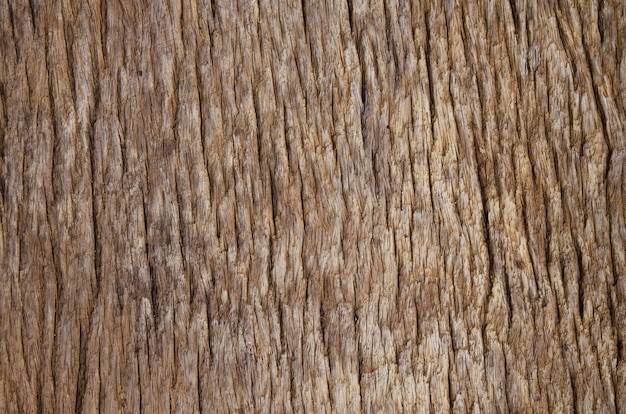 old wood board texture