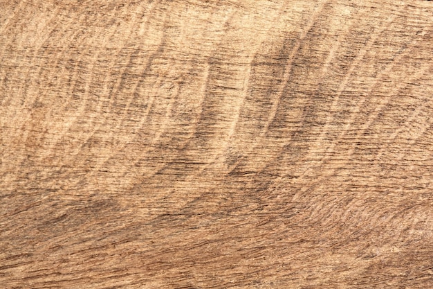 Old wood bog oak scratched used as background