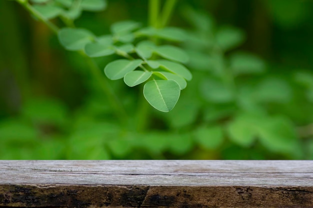 Old wood empty table for product display in front of green Drumstick tree Moringa oleifera leaves