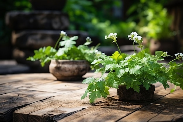 Old wood or flooring and plant in garden decorative Generative IA