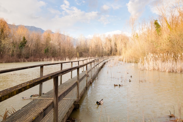 Old wood footbridge on lagoon panorama