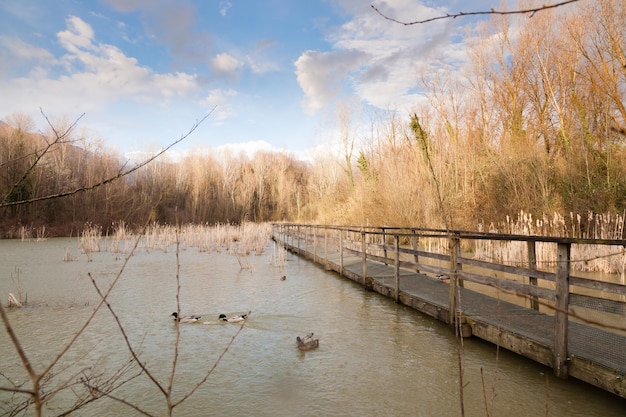 Old wood footbridge on lagoon rural landscape