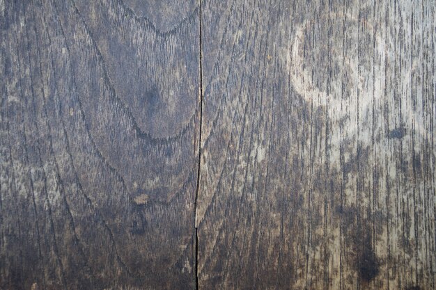 Old wood grain as background texture