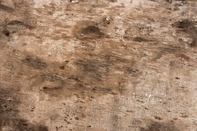 Old wood plank texture close up