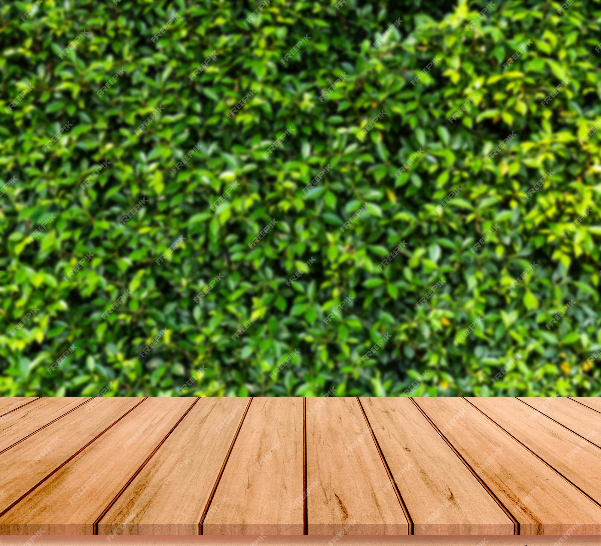 Premium Photo | Old wood plank with abstract natural green leaves ...