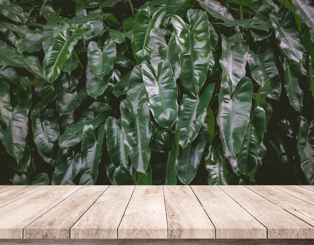抽象的な自然の緑の葉の製品の表示のための背景の古い木製の板