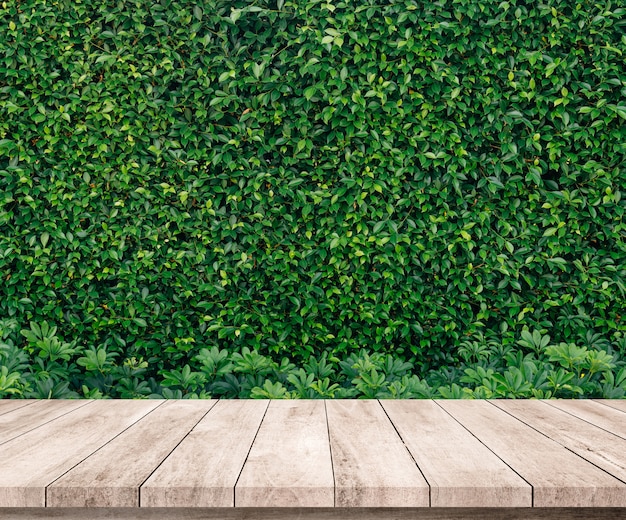 Old wood plank with abstract natural green leaves background for product display