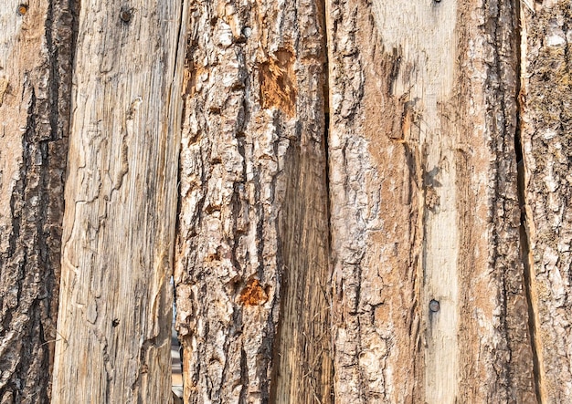 Old wood plank Wooden background