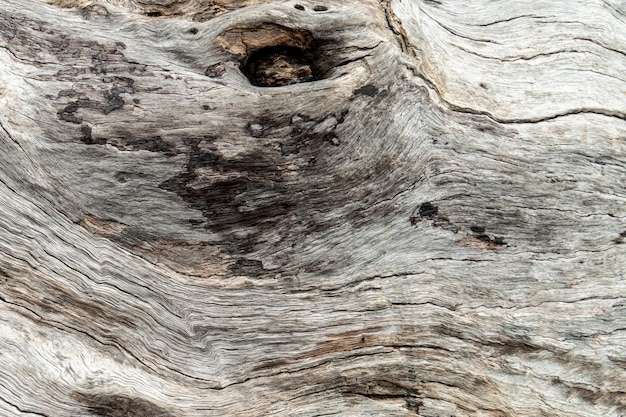 古い木の肌のテクスチャ自然木の木のテクスチャ背景パターン