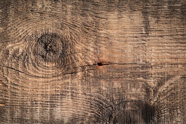 Old wood texture. Abstract background