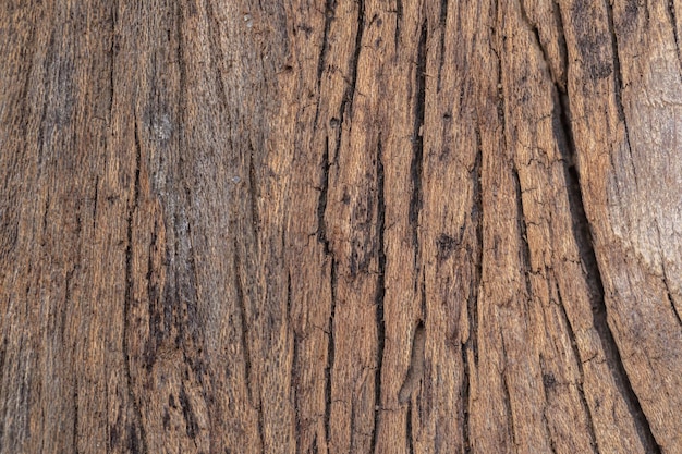 Old wood texture background for design