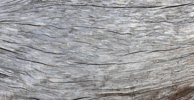 Vecchio fondo di struttura di legno struttura di legno fondo materiale della natura