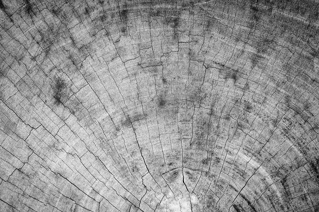 Old wood texture background