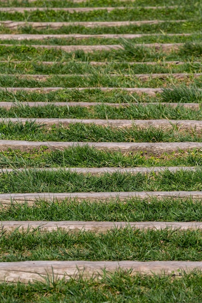 old wood texture in grass backgrounds