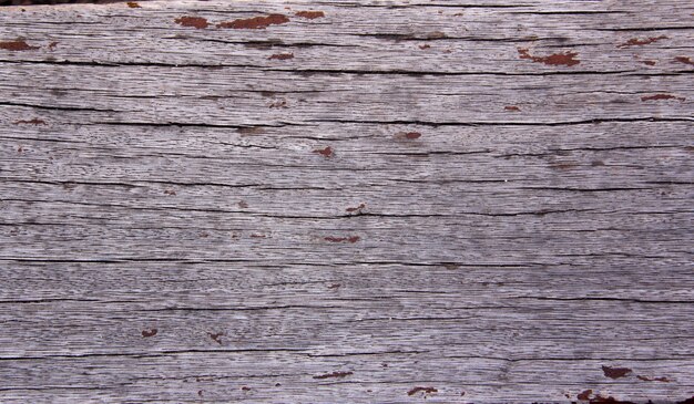 Old wood texture in gray tones.