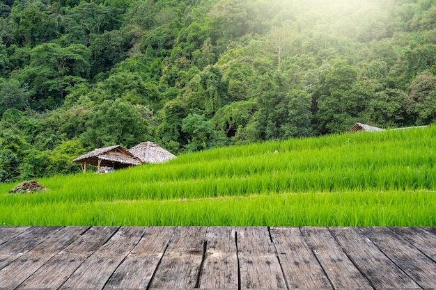 Old wood texture Table Against Rice Terrace Field