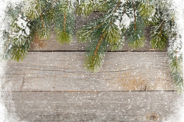 Old wood texture with snow and firtree