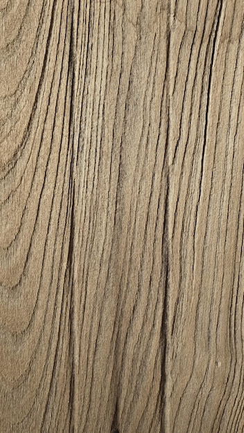 Old Wood Texture