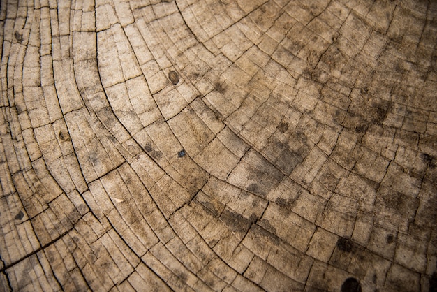 Старая текстура древесины