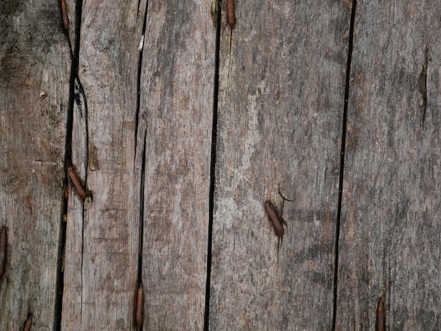 old wood texture