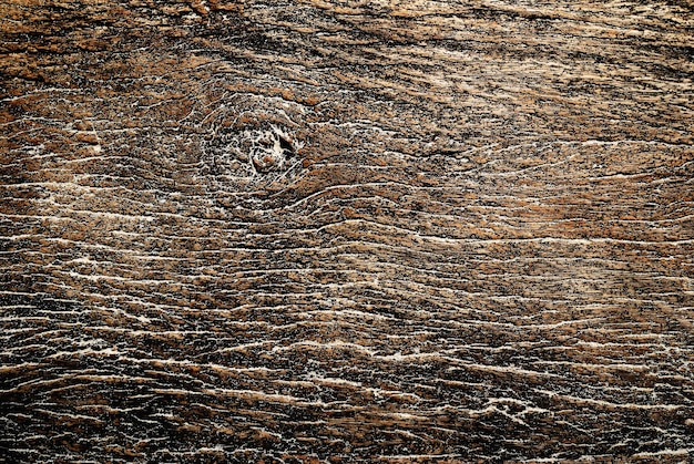 Photo old wood texture