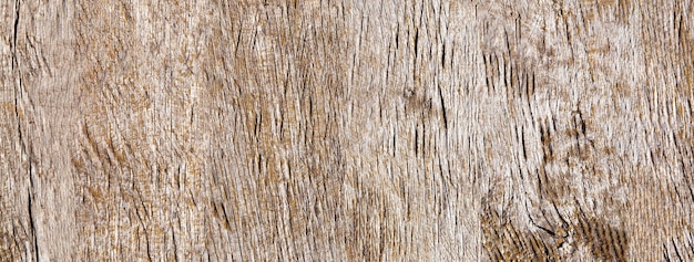 Photo old wood textured background