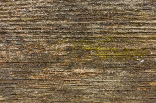 old wood textures background