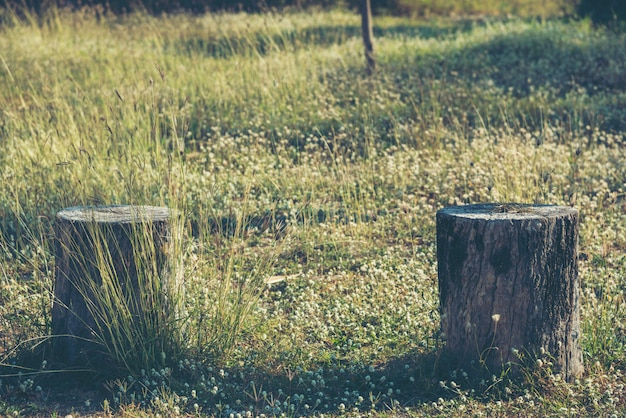 Old wood with flowers in the beautiful lawn.