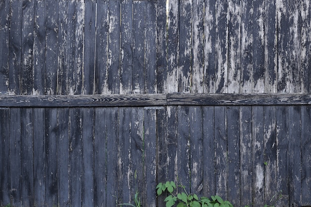 Old wooden background. Rustic style