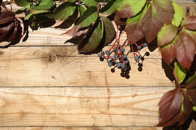 old wooden background with autumn red leaves