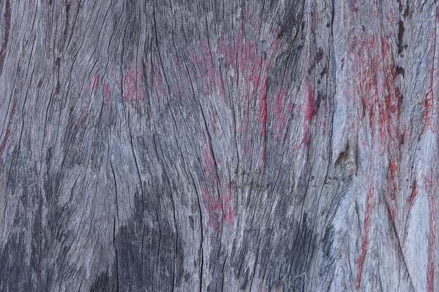 Old wooden background with natural cracks