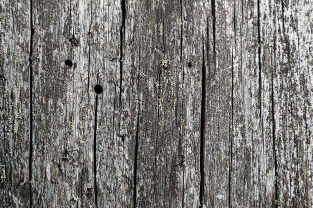 Old wooden background