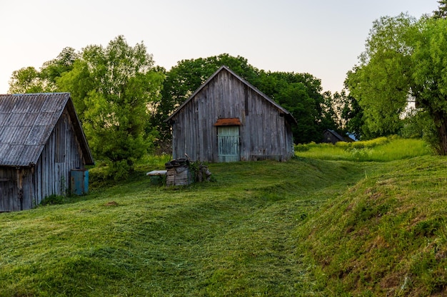 Old wooden barns on yard with mowed lawn at summer evening