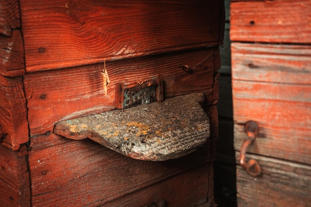 Old wooden beehive with bees stands in the apiary 2