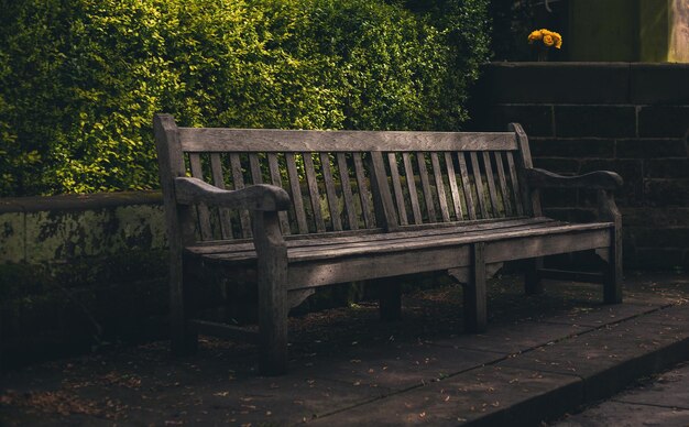 Old wooden bench in the park