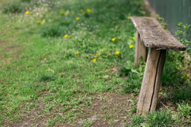 An old wooden bench staggered against the backdrop of green grass and dandelions