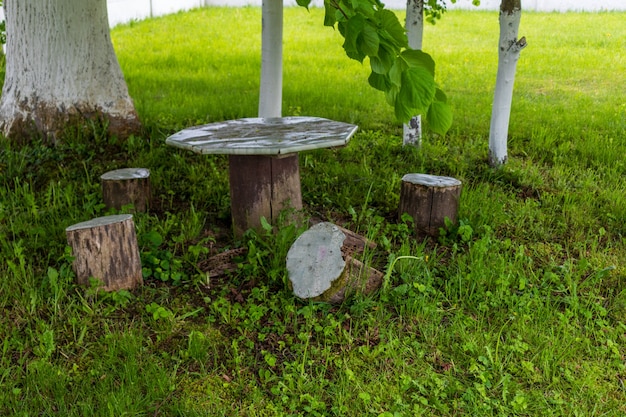 Old wooden bench and table under a tree by the river in summer