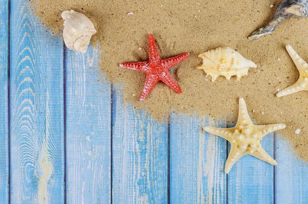 Old wooden board with shell starfish on beach sand